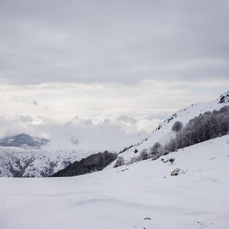 Holiday Home Floris Kopaonik Ngoại thất bức ảnh