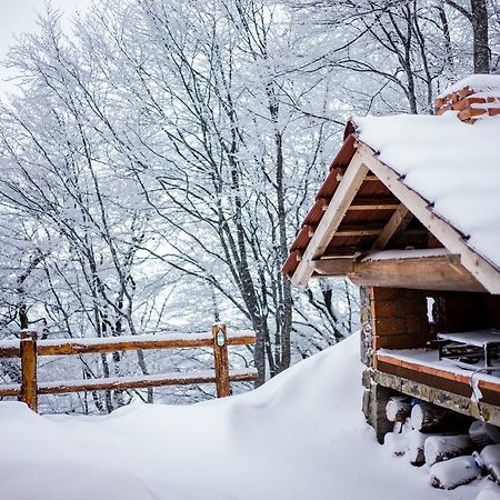Holiday Home Floris Kopaonik Ngoại thất bức ảnh