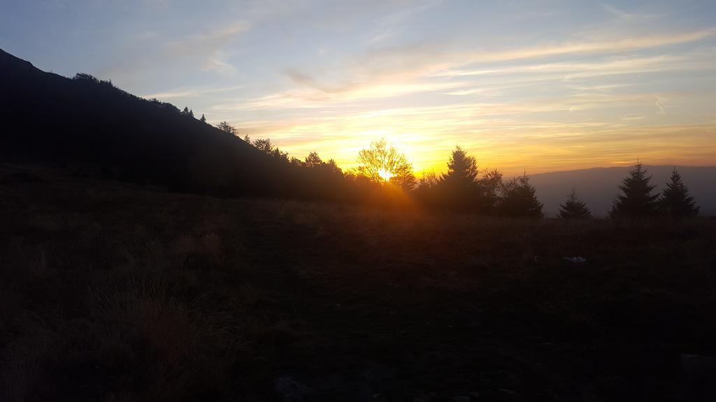 Holiday Home Floris Kopaonik Ngoại thất bức ảnh