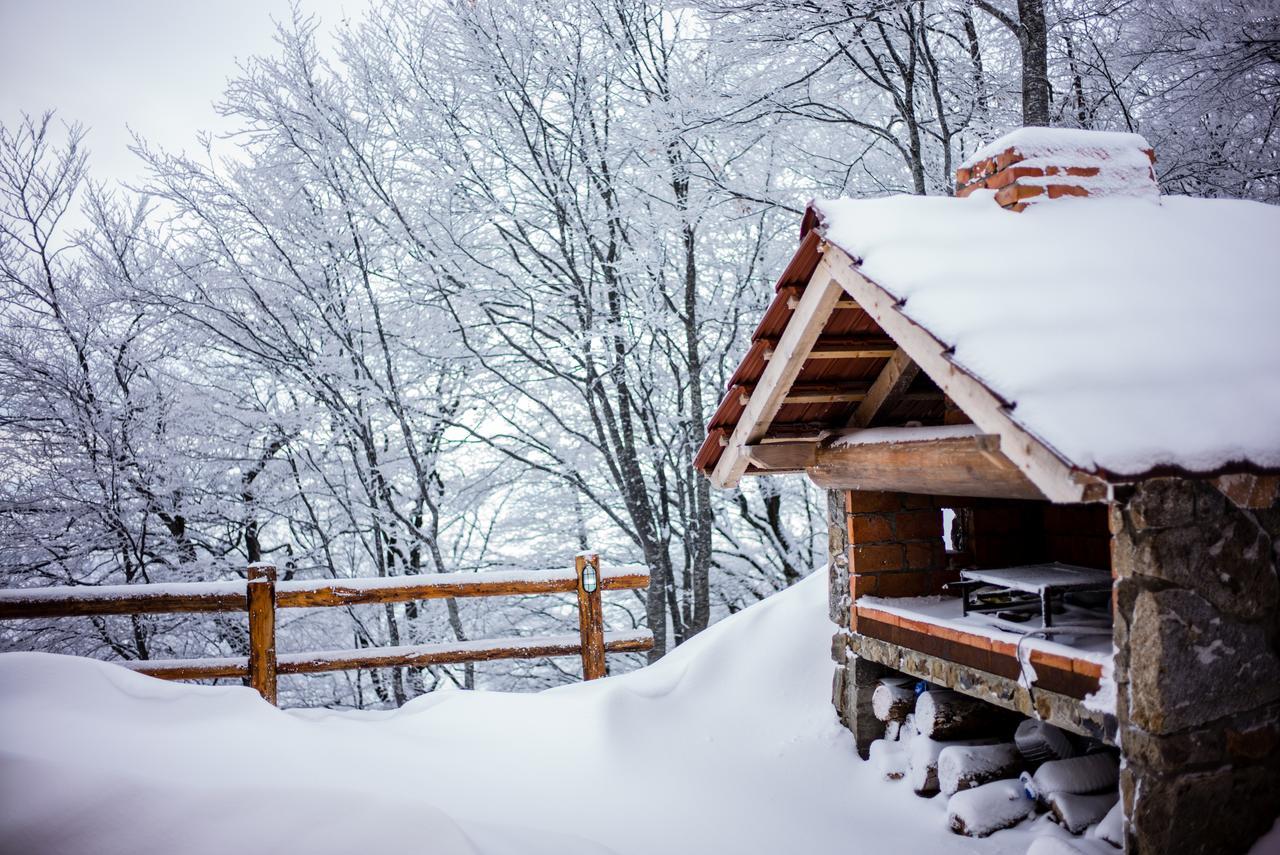 Holiday Home Floris Kopaonik Ngoại thất bức ảnh