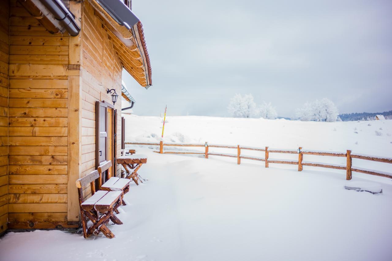 Holiday Home Floris Kopaonik Ngoại thất bức ảnh